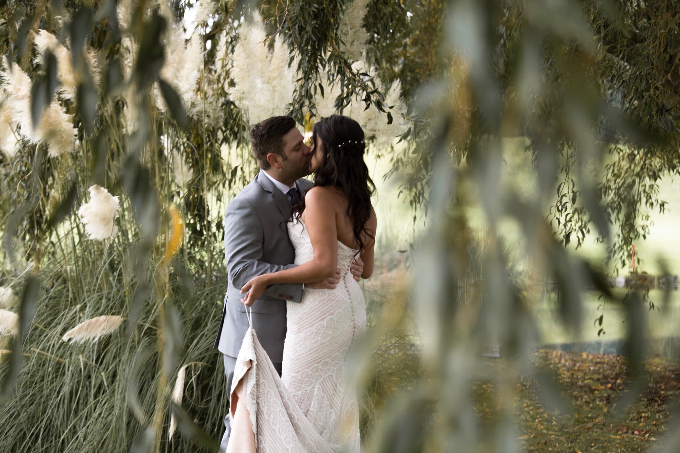 Couple kissing beneath a willow tree
